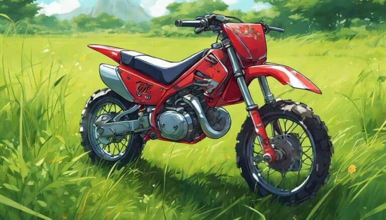 affordable dirt bike options